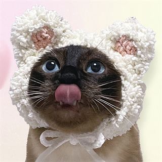 털모자를 쓰고 혀를 내밀고 있는 샴 고양이 공주