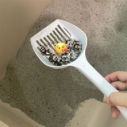 큰 삽으로 떠낸 배변 덩어리
