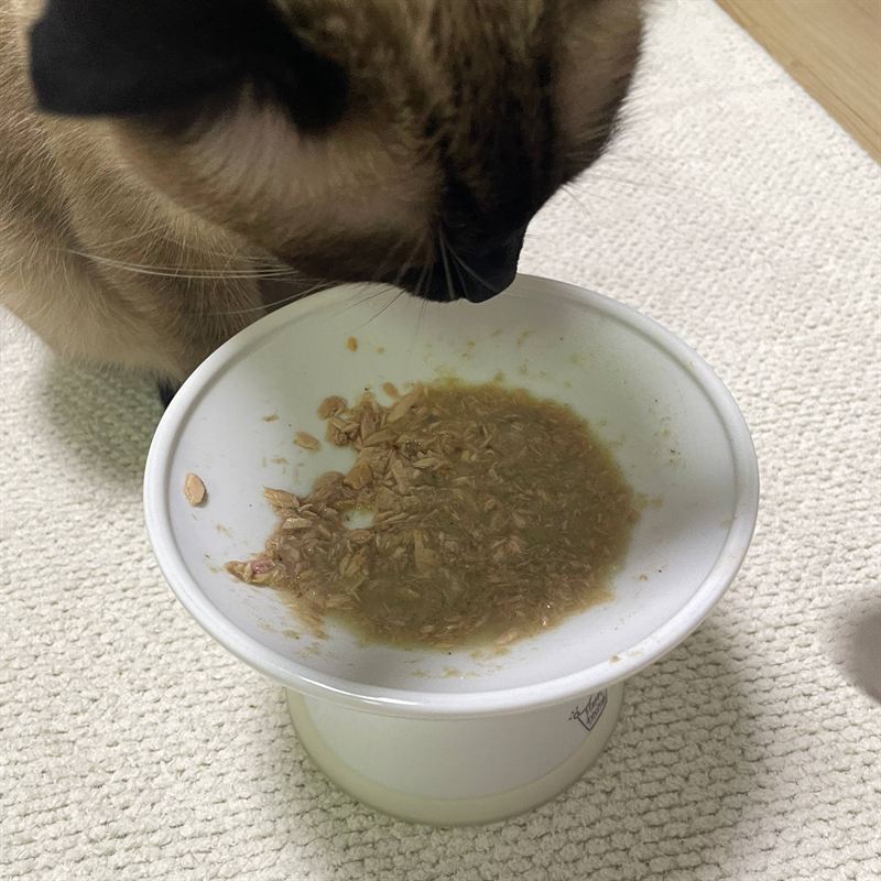 물기가 마른 쪽을 남기고 먹는 공주